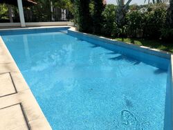 Shamrock Park (D10), Detached #503036271